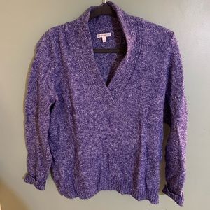 Purple Collared Cotton V-Neck Sweater